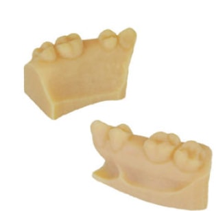 Segmental model